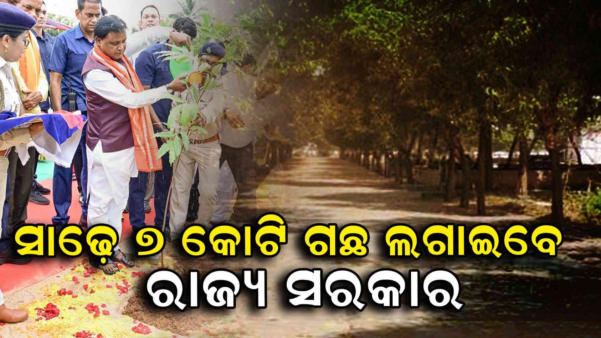 World Environment Day ; ଚଳିତ ବର୍ଷ ସାଢେ ୭ କୋଟି ଗଛ ଲାଗିବା ନେଇ ଘୋଷଣା କଲେ ମୁଖ୍ୟମନ୍ତ୍ରୀ
