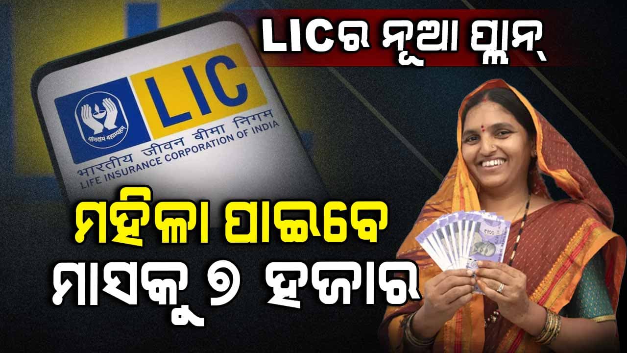 ମହିଳାଙ୍କ ରୋଜଗାର ପାଇଁ LICର ବଡ଼ ପ୍ଲାନ୍, ରୋଜଗାର ପାଇବେ ସ୍ୱାବଲମ୍ବି ହେବେ