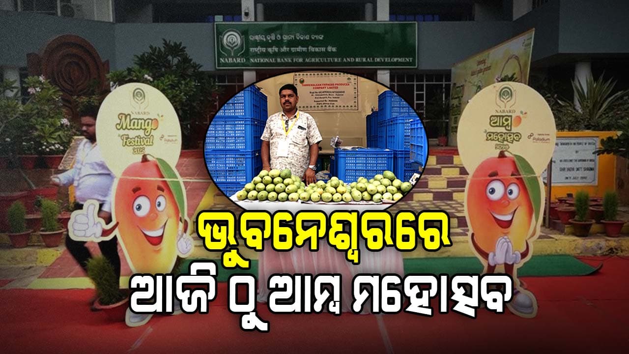 ନାବାର୍ଡ କ୍ୟାମ୍ପସରେ ଆମ୍ବ ମହୋତ୍ସବ: ୩୦ ଜିଲ୍ଲାର ଚାଷୀ ସାମିଲ