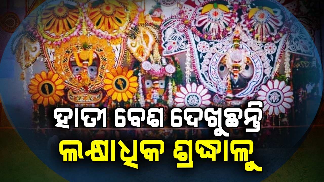ହାତୀବେଶ ଦେଖିବାକୁ ପ୍ରବଳ ଭିଡ