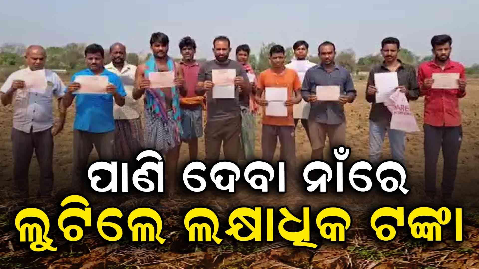 କୋରାପୁଟରେ ଚାଷୀଙ୍କୁ ଧୋକା, ହଜାର ହଜାର ଚାଷୀ ହତାସ