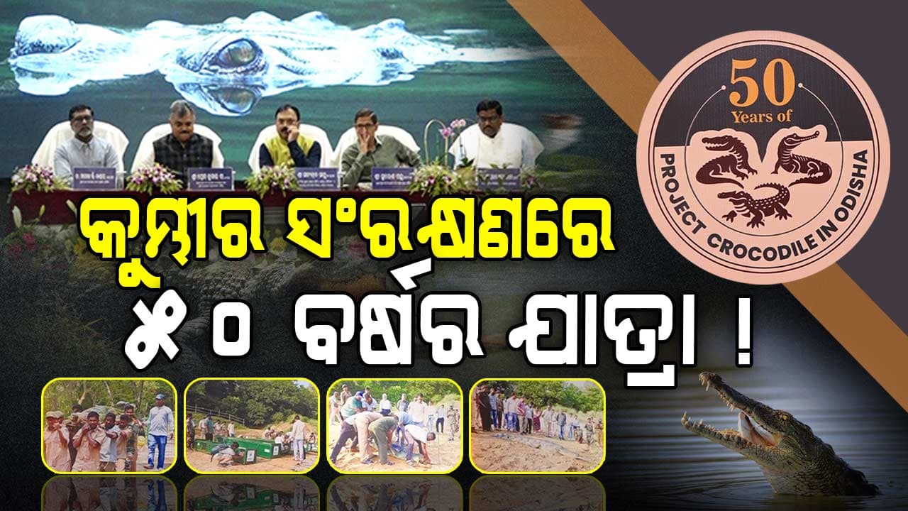 କୁମ୍ଭୀର ସଂରକ୍ଷଣରେ ୫୦ ବର୍ଷର ଯାତ୍ରା, ଓୟୁଏଟିରେ ବିଶେଷ କାର୍ଯ୍ୟକ୍ରମ