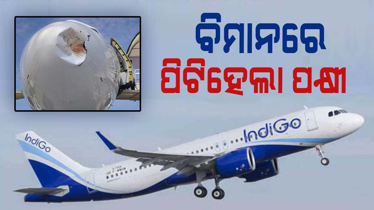 ଭୁବନେଶ୍ବର-କୋଲକାତା ବିମାନରେ ପିଟିହେଲା ପକ୍ଷୀ: ଅଳ୍ପକେ ବର୍ତ୍ତିଲା ୧୮୦ ଯାତ୍ରୀ