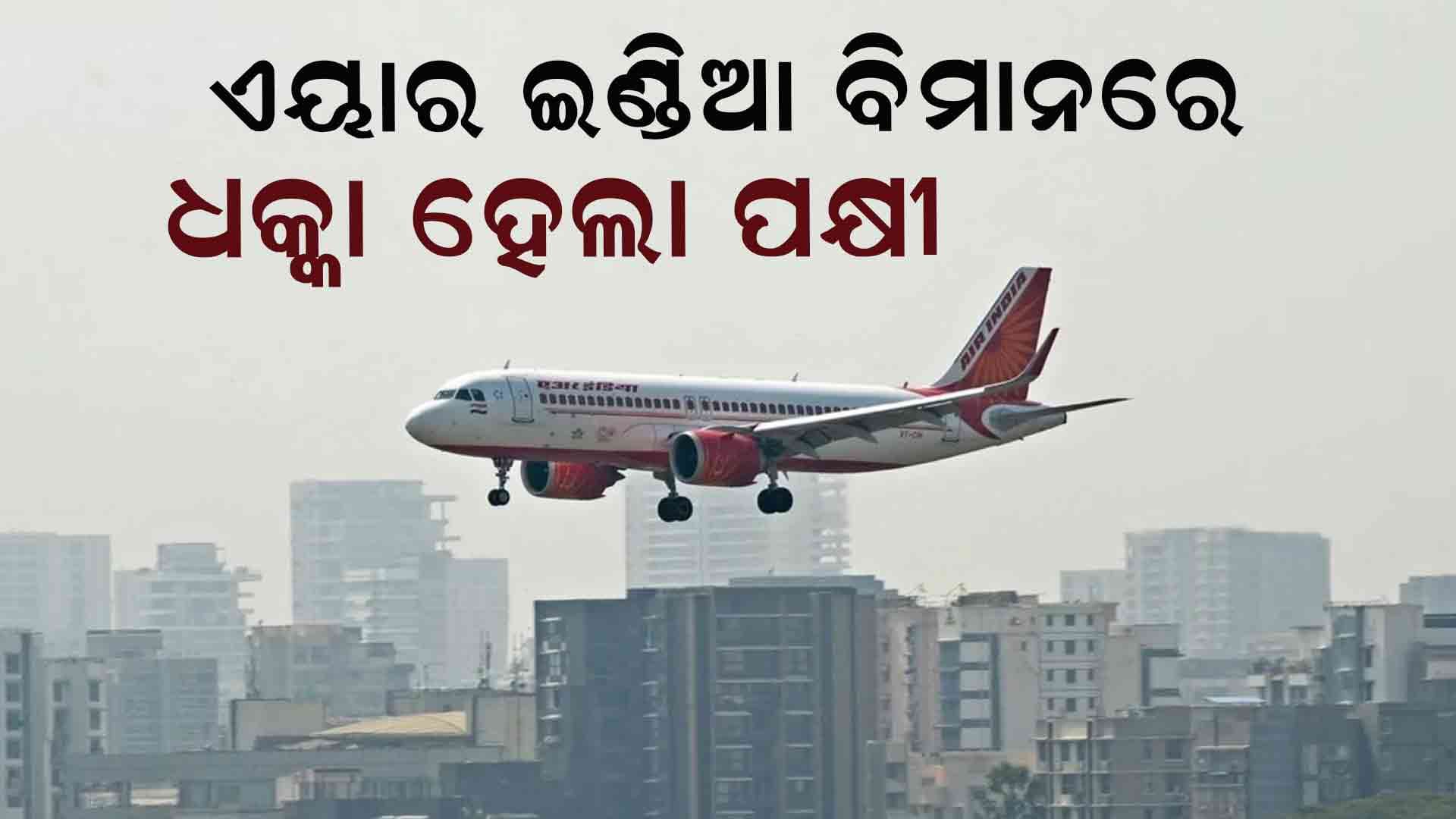 ଏୟାର ଇଣ୍ଡିଆର ପୁଣେ-ଦିଲ୍ଲୀ ବିମାନରେ ଧକ୍କା ହେଲା ପକ୍ଷୀ