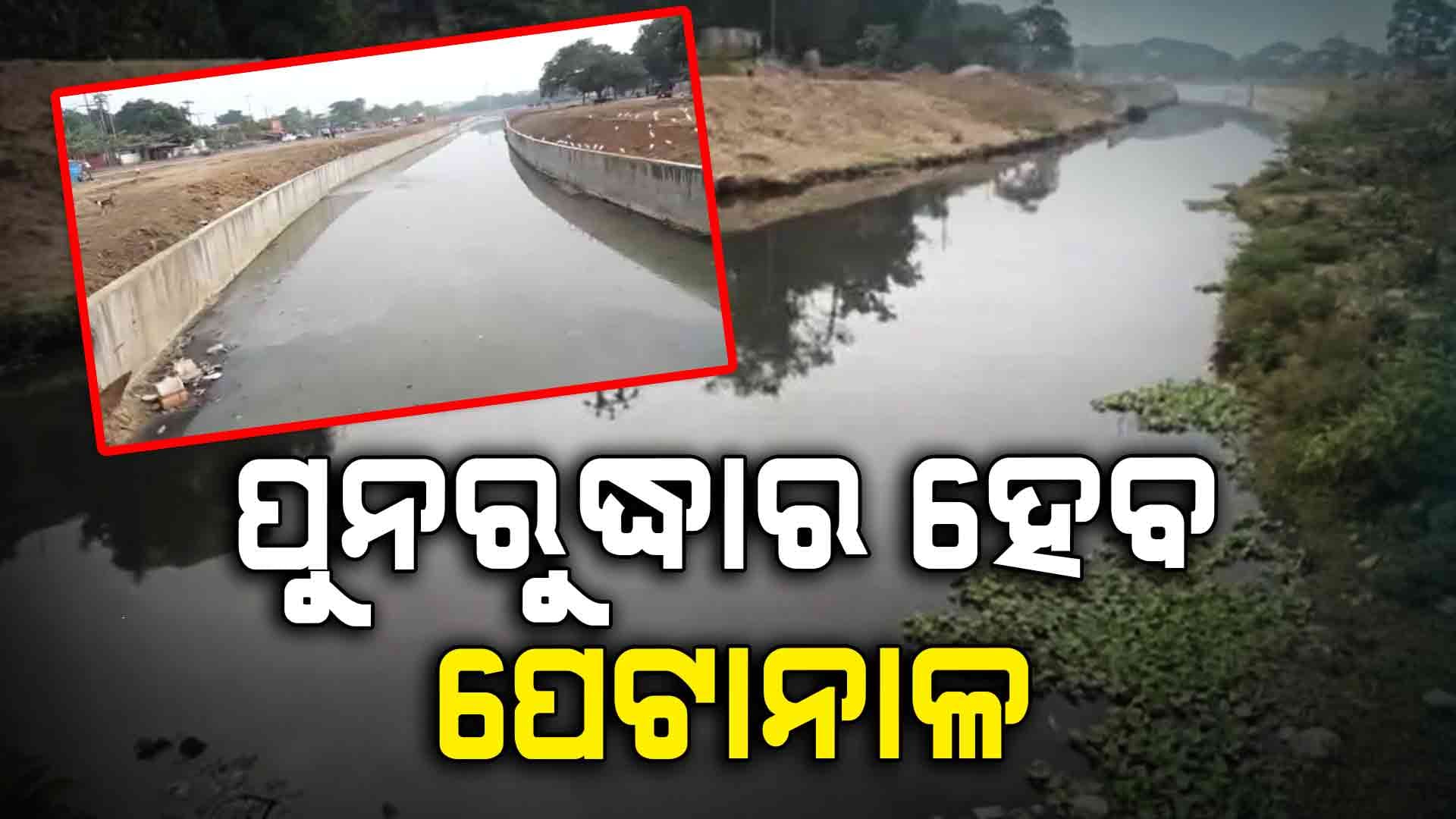 ନୂଆ ସରକାର ଆସିବା ପରେ ବଦଳିବ ପେଟାନାଳର ଭାଗ୍ୟ