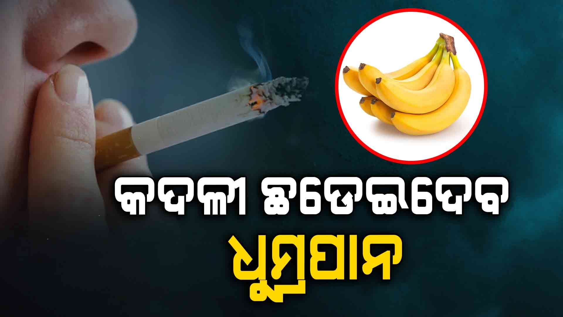 ଧୁମ୍ରପାନଠୁ ଦୂର କରିବ କଦଳୀ...