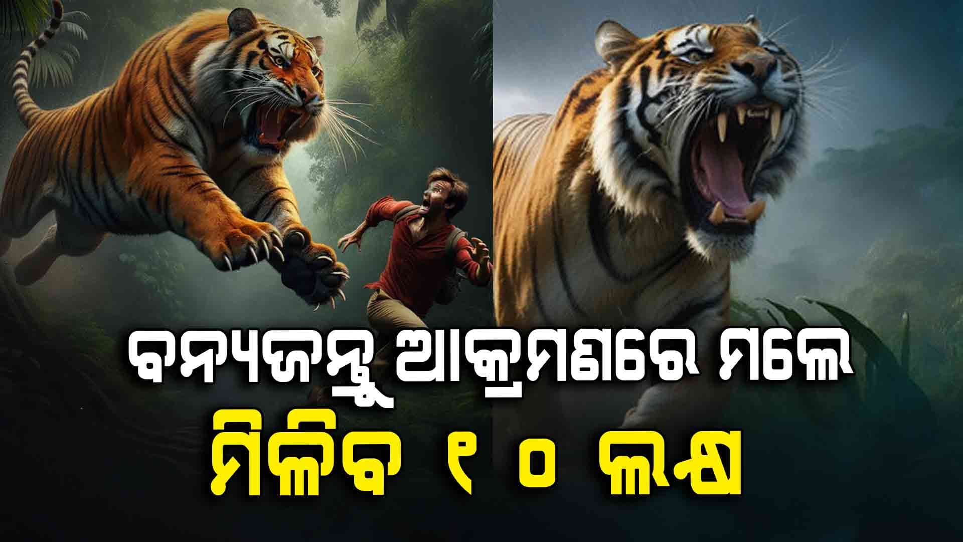 ବନ୍ୟଜନ୍ତୁ ଆକ୍ରମଣରେ ମୃତ୍ୟୁ, ୧୦ ଲକ୍ଷ ଟଙ୍କାକୁ ବୃଦ୍ଧି କଲେ ମୁଖ୍ୟମନ୍ତ୍ରୀ