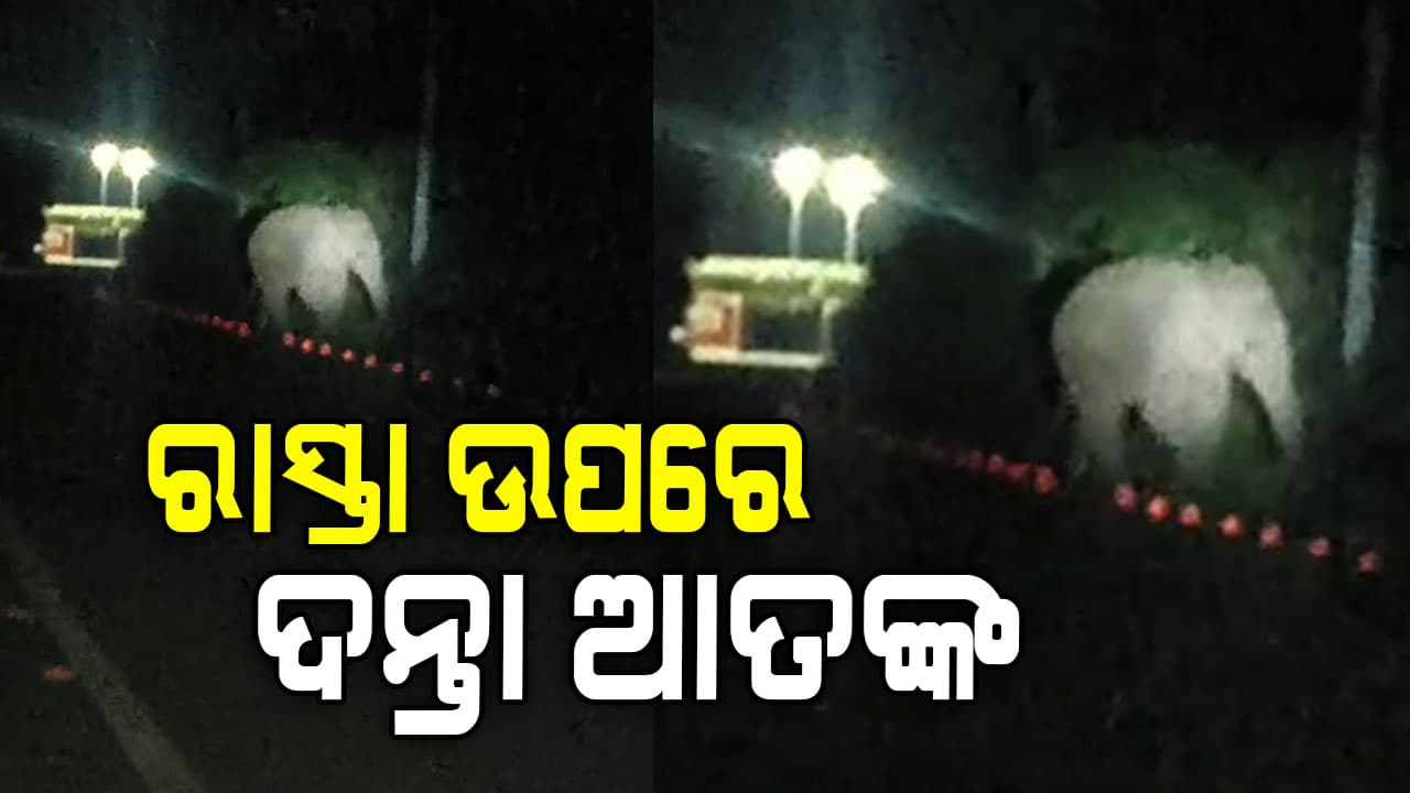 ରାସ୍ତା ଉପରେ ଗୋଠଛଡା ଦନ୍ତା: ଲୋକେ ଭୟଭୀତ