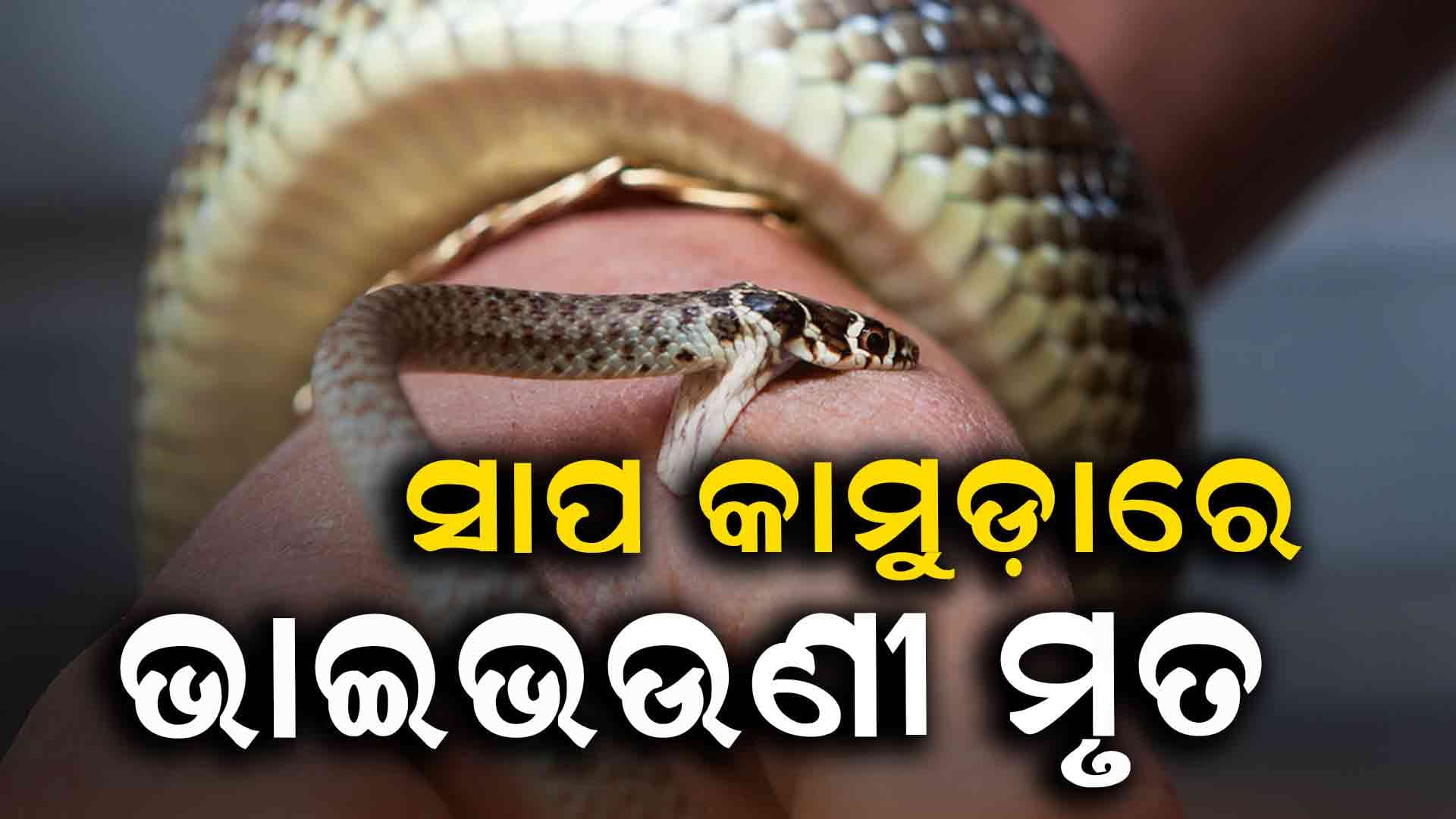 ସାପ କାମୁଡ଼ାରେ ଭାଇଭଉଣୀଙ୍କ ଅକାଳ ମୃତ୍ୟୁ