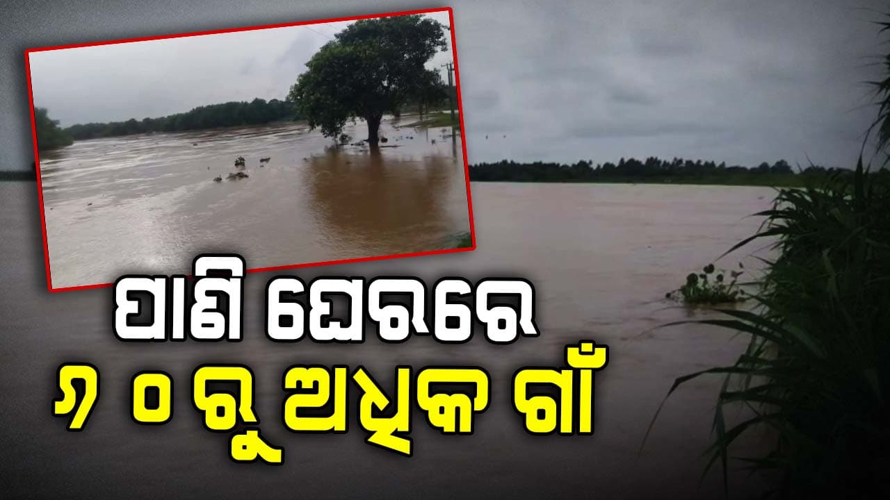 ଶହ ଶହ ହେକ୍ଟର ଚାଷଜମିକୁ ମାଡିଗଲା ବନ୍ୟାପାଣି