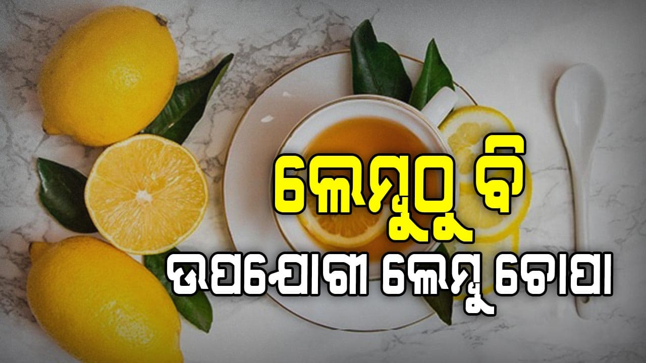 ଅଦରକାରୀ ନୁହେଁ ଲେମ୍ବୁ ଚୋପା, ଏହି ସବୁ ସମସ୍ୟା ଦୂର କରିବ ଲେମ୍ବୁ ଚୋପା ଜାଣନ୍ତୁ...
