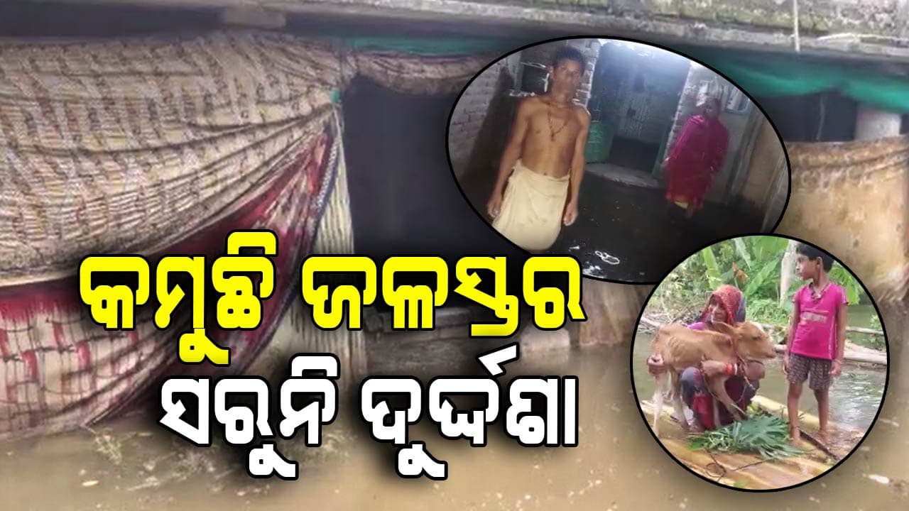 ତଳିଆ ଅଞ୍ଚଳରେ ଜମିଛି ପାଣି, ନଷ୍ଟ ହେଲାଣି ପନିପରିବା ଚାଷ