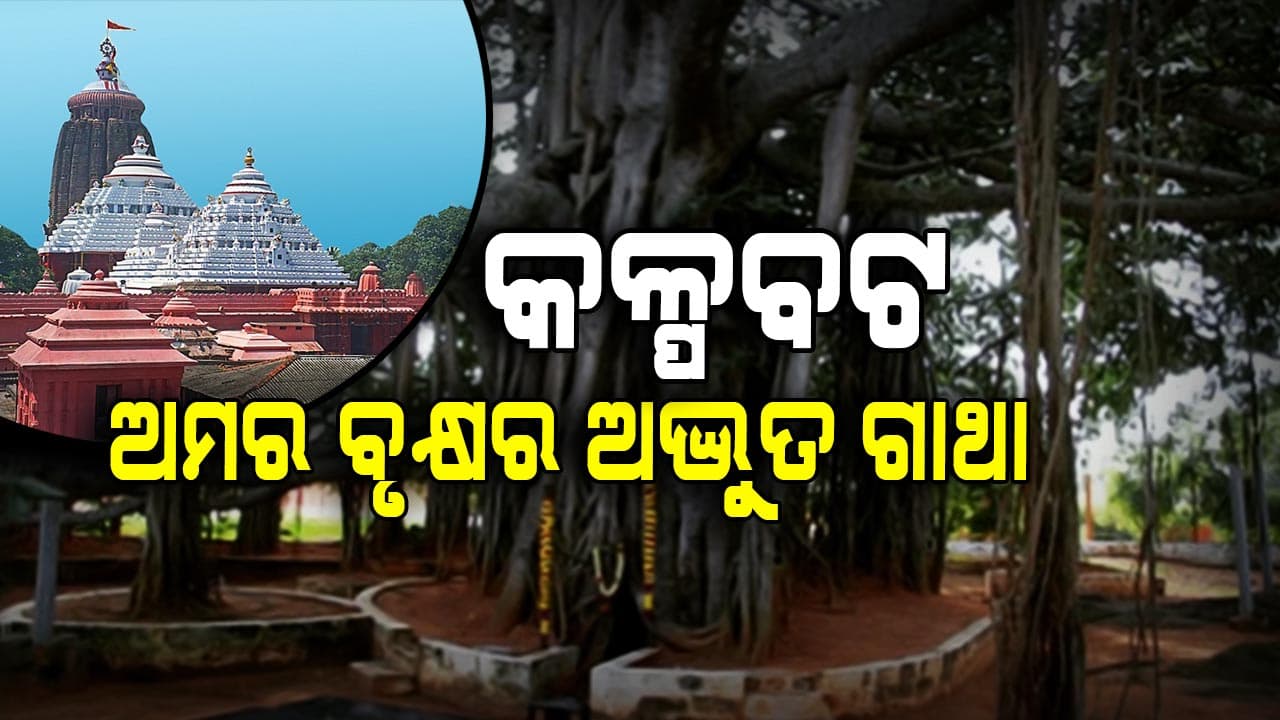 କଳ୍ପବଟ - ଆଶା, ଶାନ୍ତି ଓ ମୁକ୍ତିର ପ୍ରତୀକ