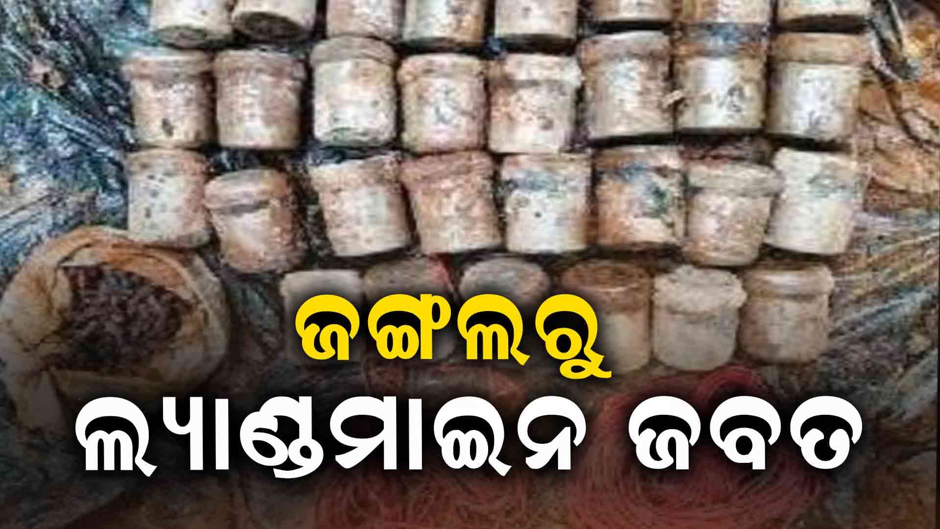 ସରଣ୍ଡା ଜଙ୍ଗଲରୁ ୩୦ ଲ୍ୟାଣ୍ଡମାଇନ୍ ଜବତ