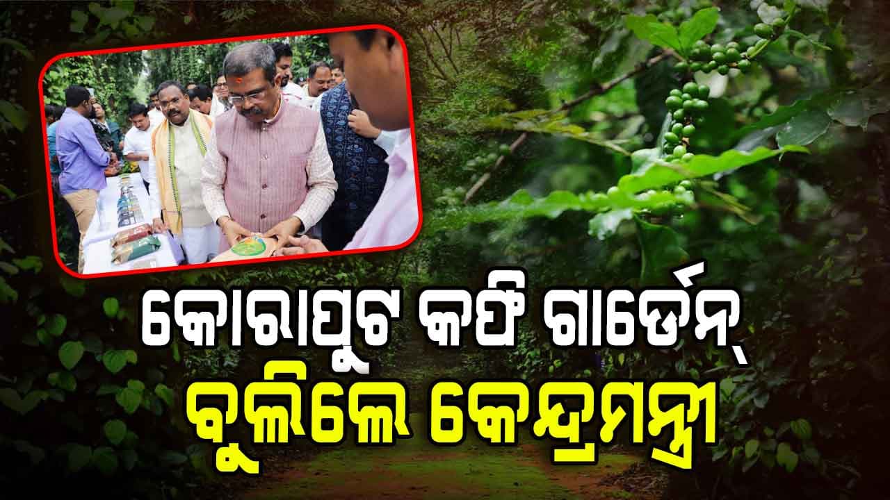 ‘ବ୍ରାଣ୍ଡ୍ କୋରାପୁଟ୍’ ପାଇଁ କୋରାପୁଟ କଫିର ଉତ୍ପାଦନ ବଢାଇବାକୁ ପ୍ରଚେଷ୍ଟା କରିବା - ଧର୍ମେନ୍ଦ୍ର ପ୍ରଧାନ