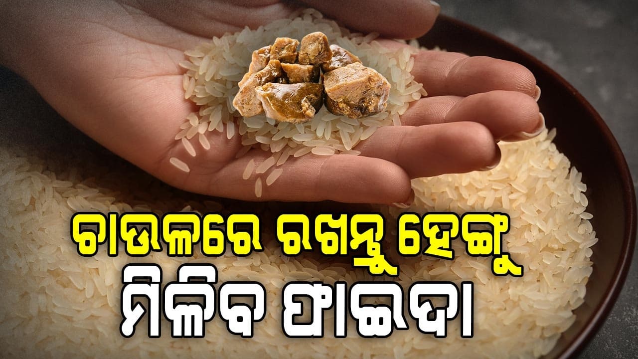 ଚାଉଳରୁ ପୋକ ନଲାଗିବା ପାଇଁ ଆପଣାନ୍ତୁ ଗୁରୁତ୍ୱପୂର୍ଣ୍ଣ ଟିପ୍ସ୍