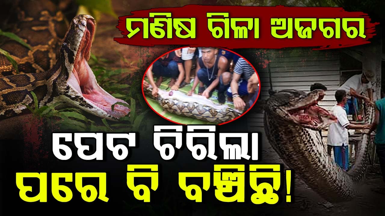 ଇଣ୍ଡୋନେସିଆରେ ଏକ ଆଶ୍ଚର୍ଯ୍ୟଜନକ ଘଟଣା ସାମ୍ନାକୁ ଆସିଛି