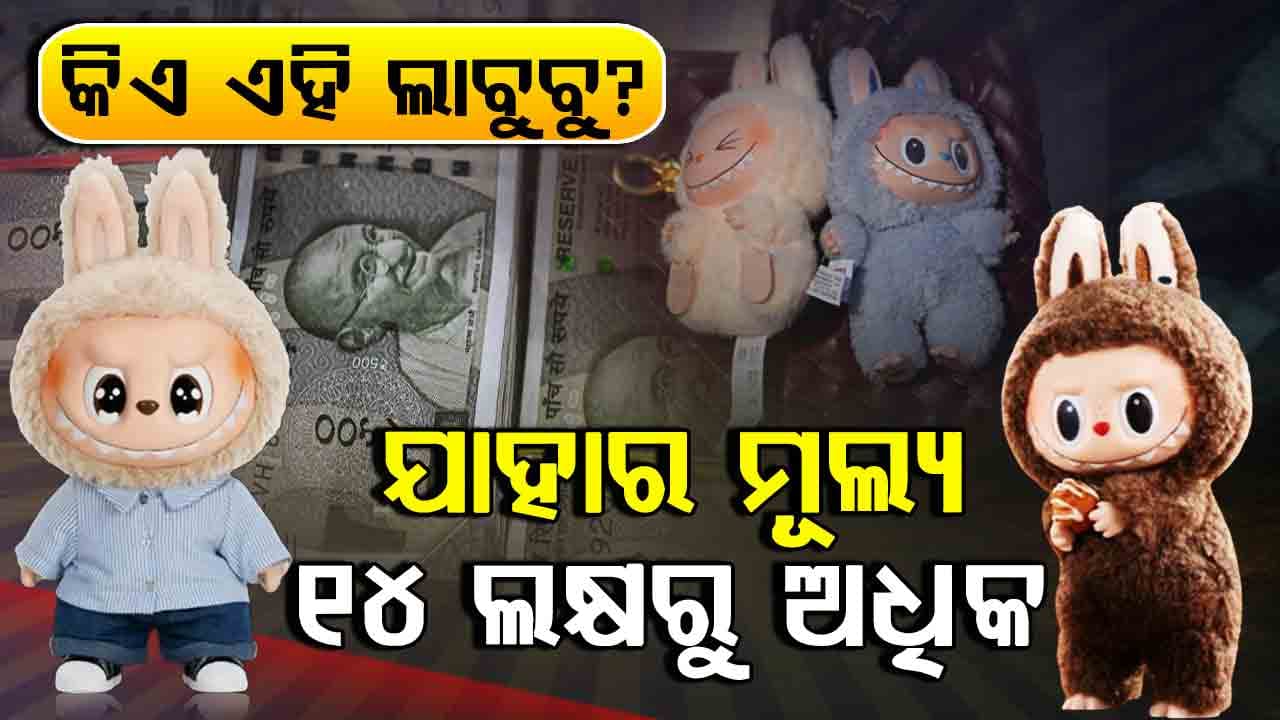 କେମିତି ଚିହ୍ନିବେ LABUBU କଣ୍ଢେଇକୁ ? ପାଦରେ ଟାଟୁ ଓ ମୁହଁରେ କଣ୍ଟାଦାନ୍ତ 