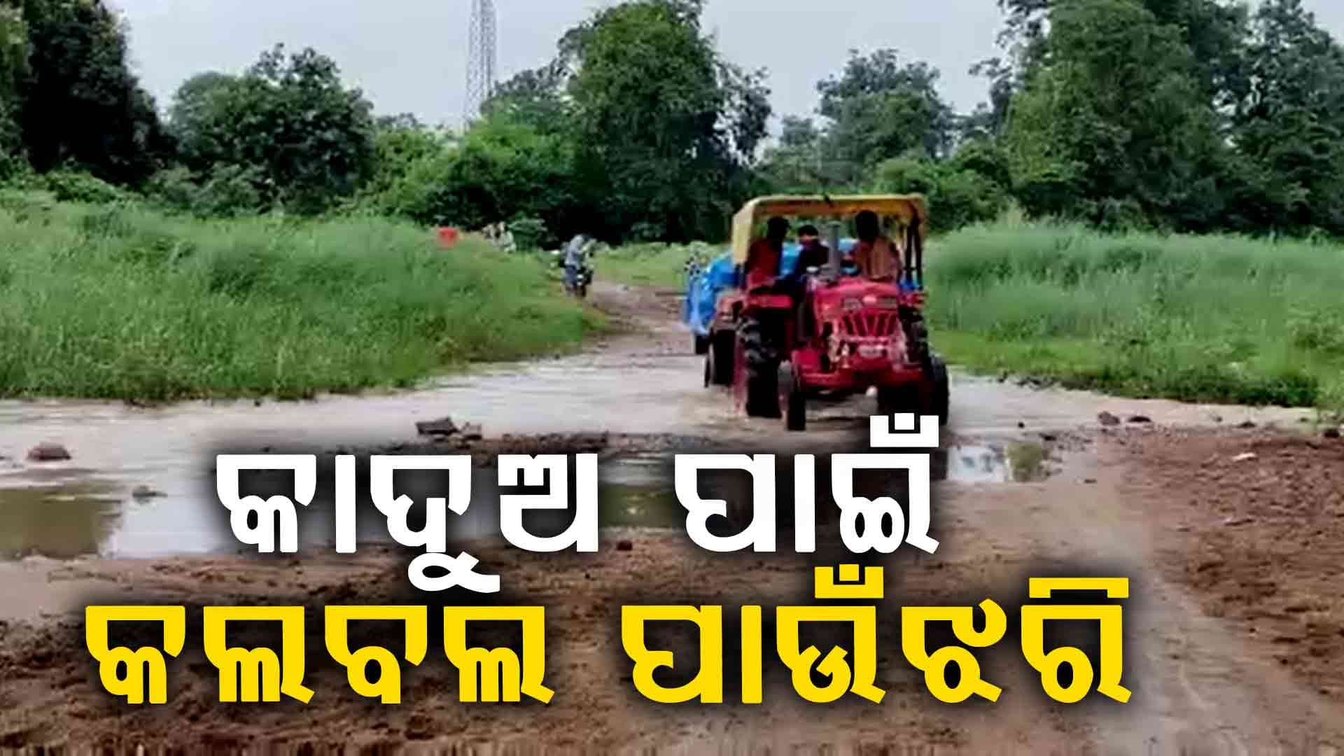 କାଦୁଅ ରାସ୍ତାରେ ଧାନ ତଳି ରୋଇ ପ୍ରତିବାଦ