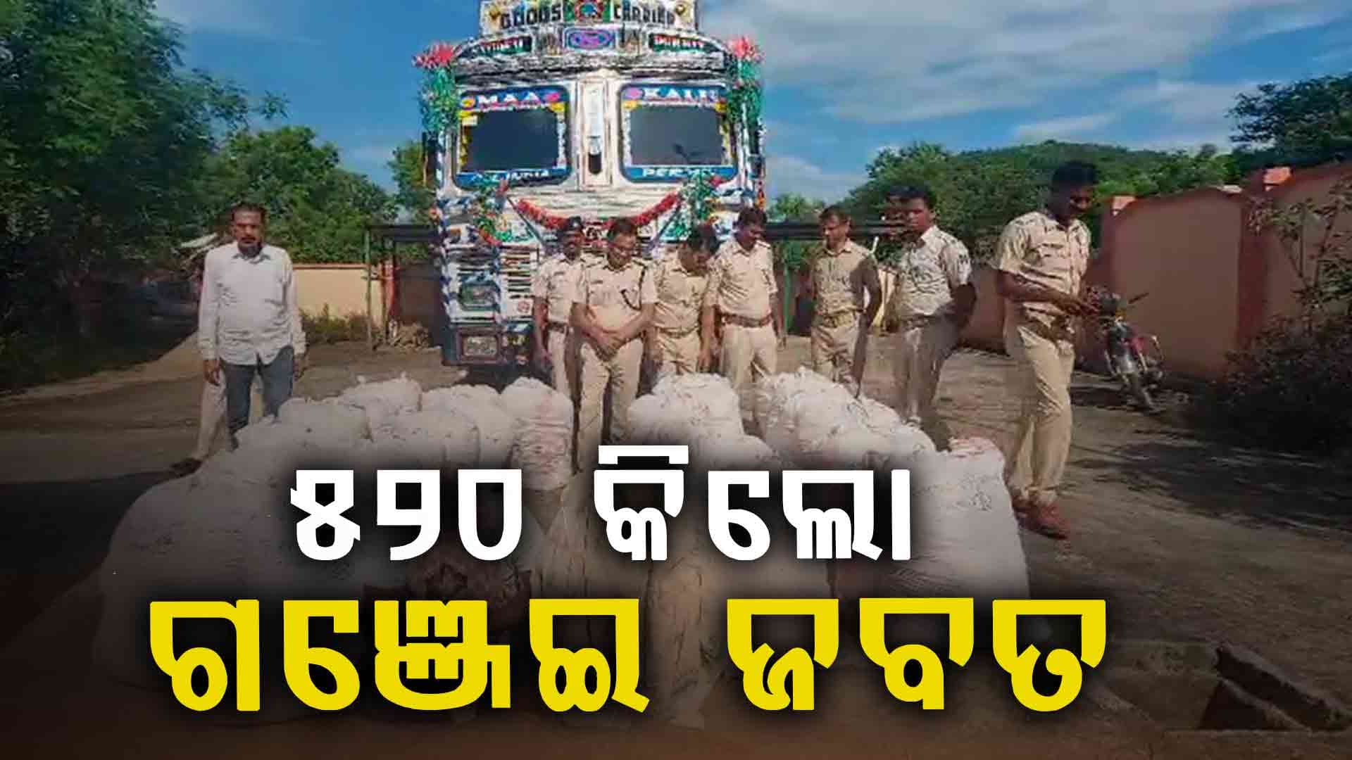 ଟ୍ରକର ସିକ୍ରେଟ୍ ଚାମ୍ବରରୁ ୫୨୦କିଲୋ ଗଞ୍ଜେଇ ଜବତ: ୨ ଗିରଫ