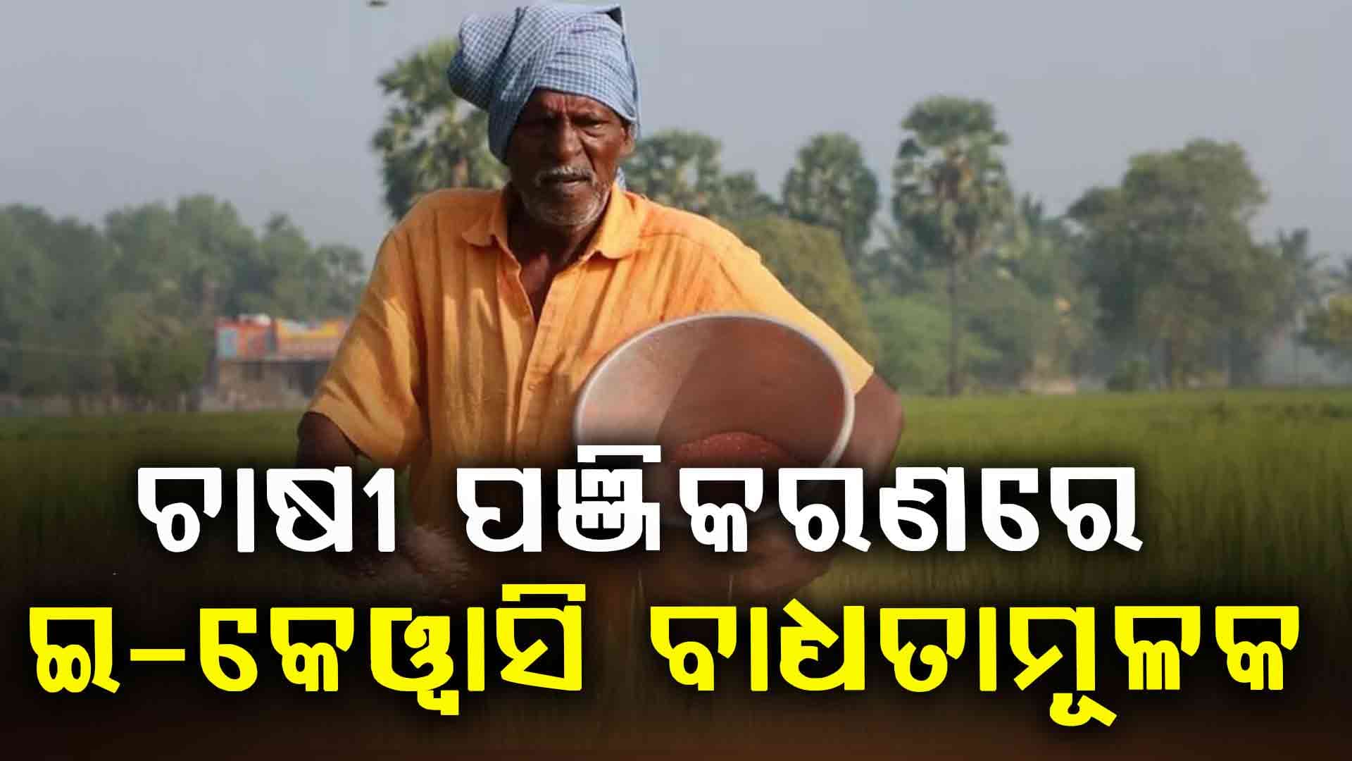 ରାସନ କାର୍ଡ ପରେ ଚାଷୀ ପଞ୍ଜିକରଣରେ ବି ଲାଗୁହେଲା  ଇ-କେୱାସି ବ୍ୟବସ୍ଥା