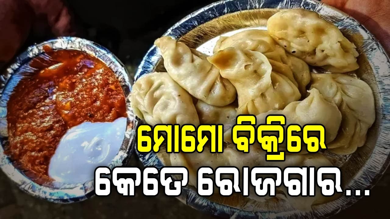 ଦିନକୁ କେତେ ଲାଭ ପାଆନ୍ତି ମୋମୋ ଦୋକାନୀ , ଜାଣନ୍ତୁ କ'ଣ କୁହନ୍ତି ସେମାନେ...