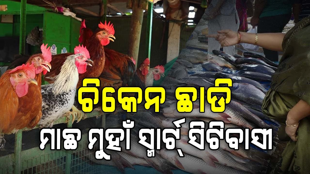 ଚୁନା ମାଛ, ଚିଙ୍ଗୁଡ଼ି କଙ୍କଡାର ଦର ଉପର ମୁହାଁ