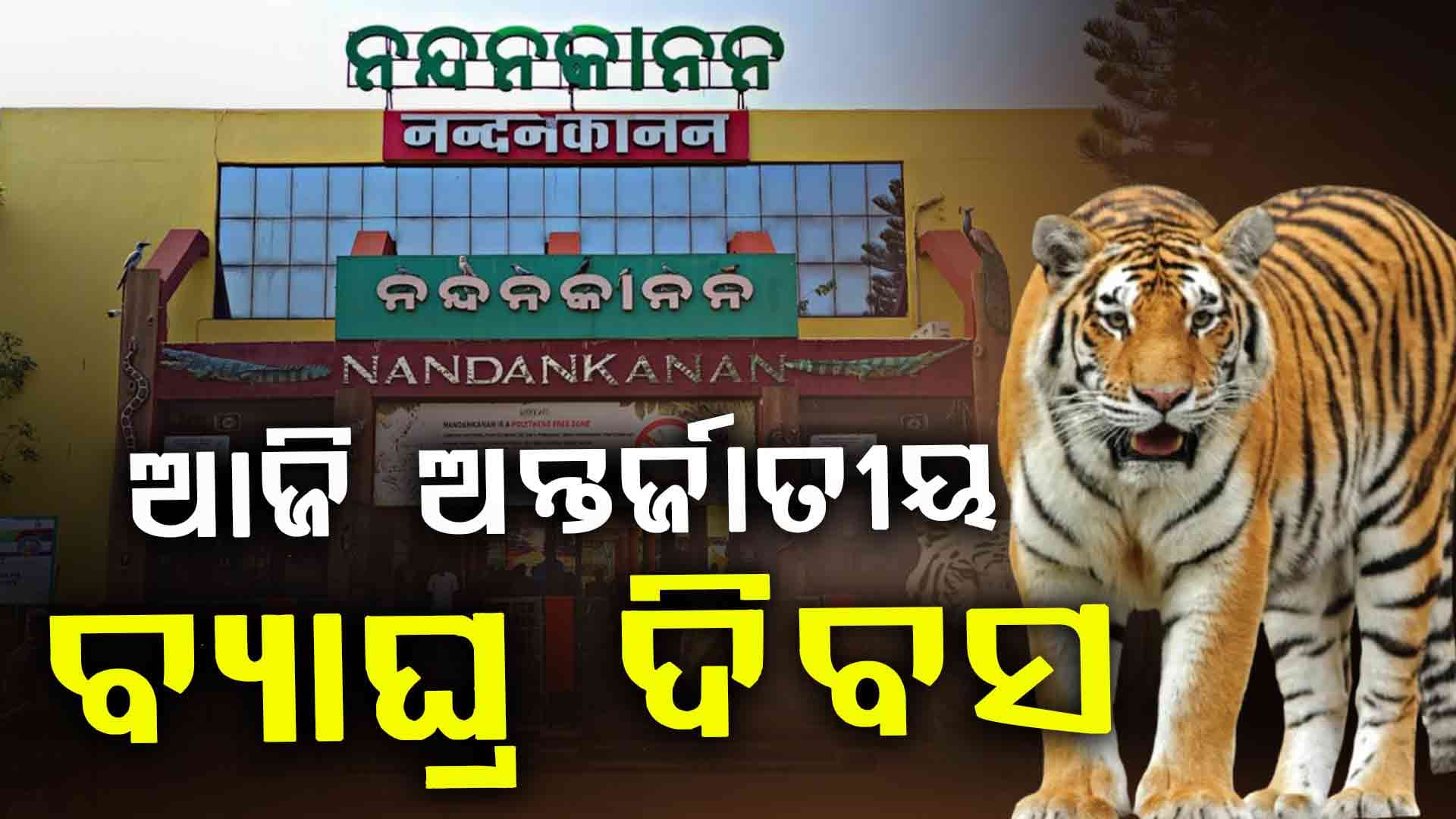 ନନ୍ଦନକାନନରେ ପାଳନ ହେବ ଅନ୍ତର୍ଜାତୀୟ ବ୍ୟାଘ୍ର ଦିବସ