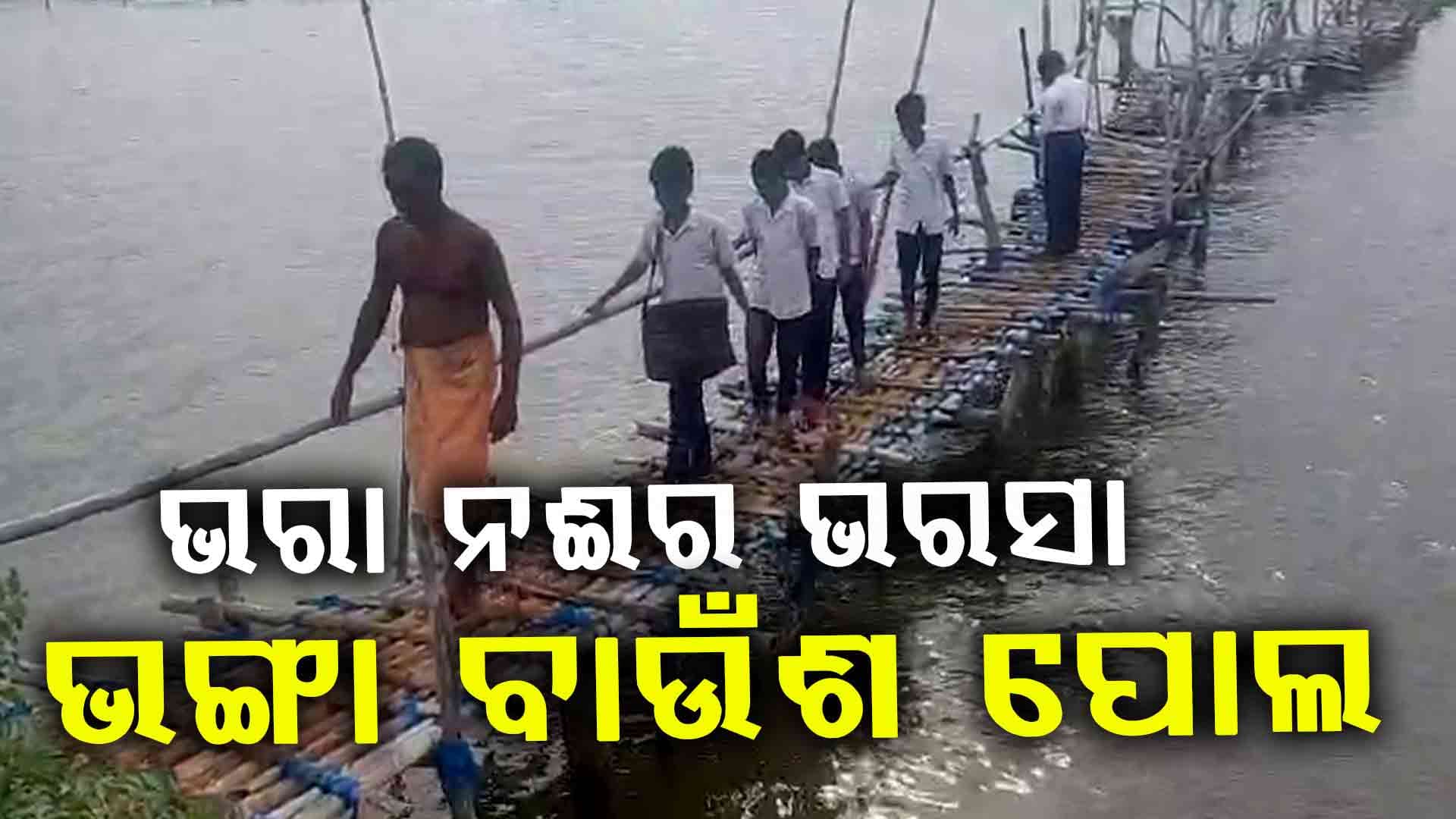 ବିପଦପୂର୍ଣ୍ଣ ବାଉଁଶ ପୋଲରେ ନଦୀ ପାର ହେଉଛନ୍ତି ସ୍କୁଲ ପିଲା