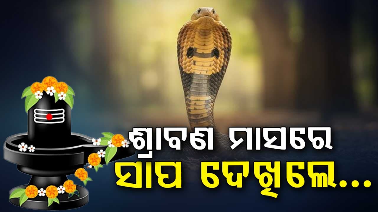 ଶ୍ରାବଣ ମାସ ସ୍ଵପ୍ନରେ ସାପ ଦେଖିବା ଶୁଭ ନା ଅଶୁଭ? ଜାଣନ୍ତୁ...