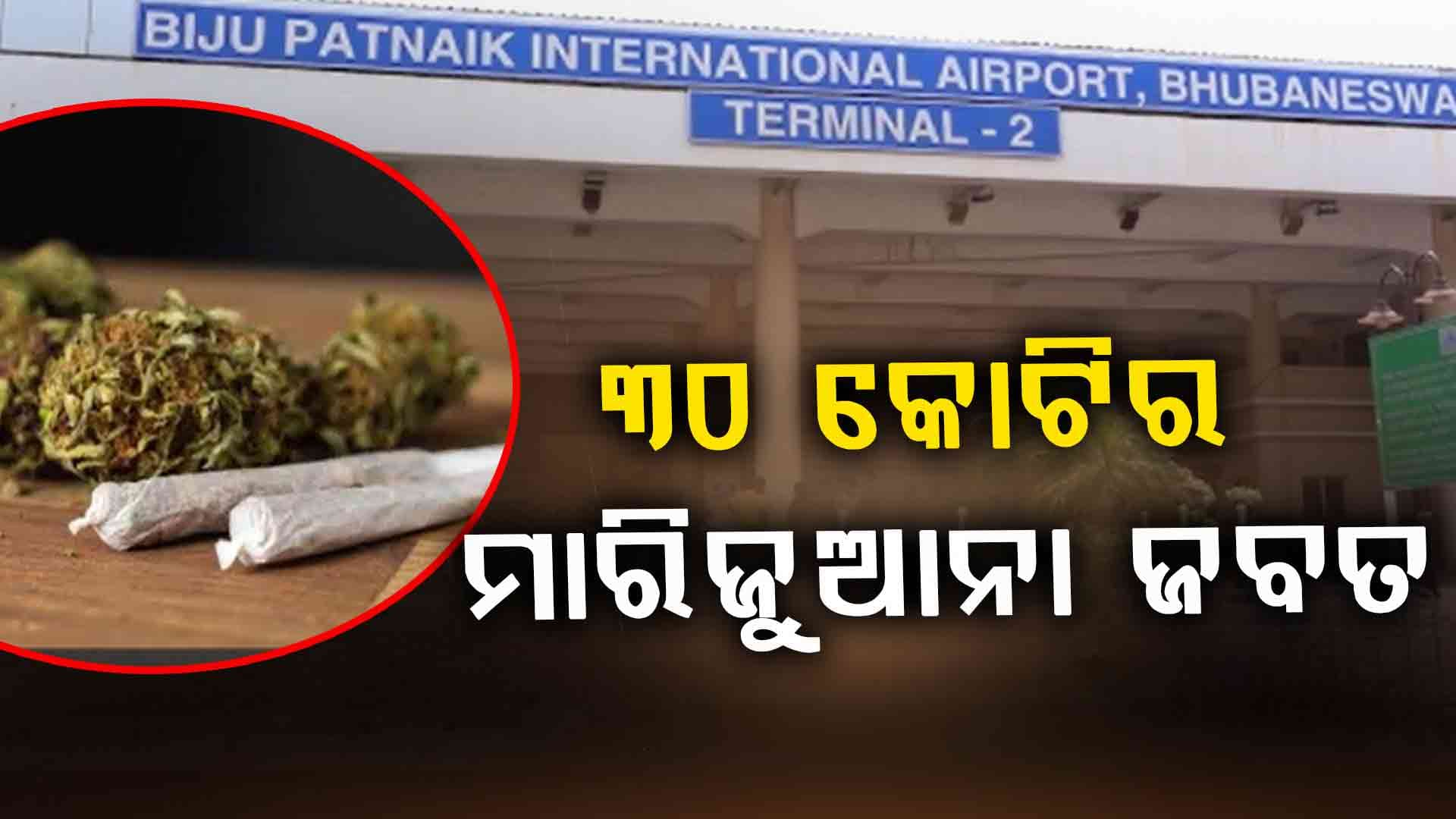 ଭୁବନେଶ୍ୱର ଏୟାରପୋର୍ଟରୁ ୩୦ କୋଟିର ମାରିଜୁଆନା  ଜବତ