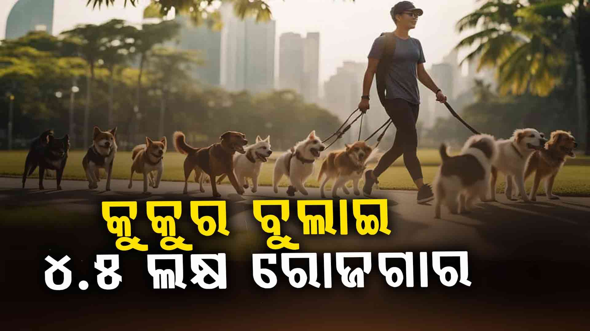 କୁକୁର ବୁଲାଇ ମାସକୁ ୪.୫ ଲକ୍ଷ: ଇଛାଥିଲେ କୌଣସି ଡିଗ୍ରୀର ଆବଶ୍ୟକ ନାହିଁ