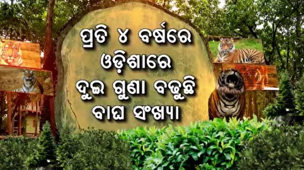 ଶିମିଳିପାଳରେ 42ଟି ମହାବଳ ବଢ଼ାଇଛନ୍ତି ଓଡ଼ିଶାର ଗୌରବ