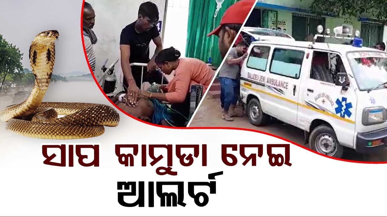 ବନ୍ୟାଞ୍ଚଳରେ ସାପ କାମୁଡା ନେଇ ଆଲର୍ଟ