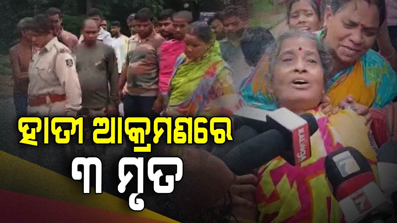 ହାତୀ ଆକ୍ରମଣରେ ୩ ଜଣଙ୍କ ମୃତ୍ୟୁ, ଫରେଷ୍ଟର ନିଲମ୍ବିତ