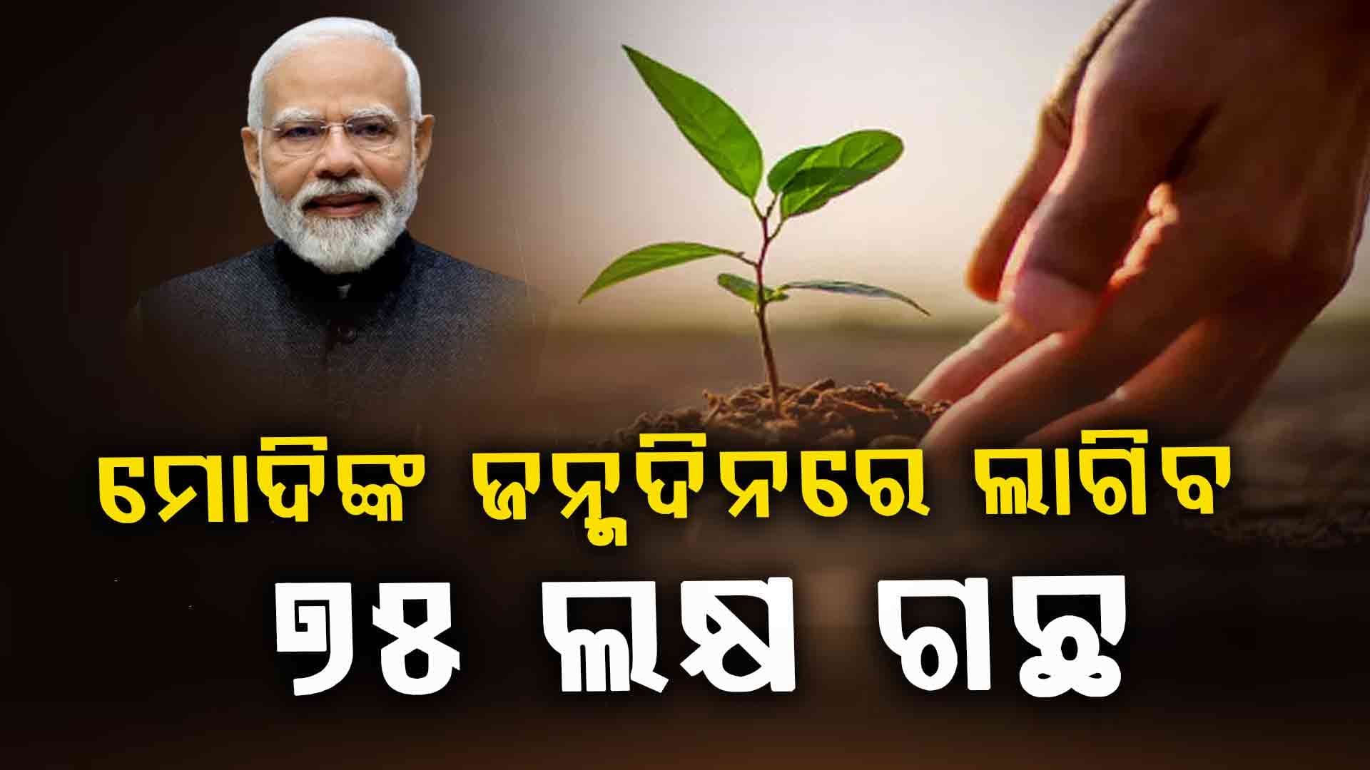 ପ୍ରଧାନମନ୍ତ୍ରୀଙ୍କ ୭୫ ତମ ଜନ୍ମଦିନରେ ଓଡିଶାରେ ଲାଗିବ ରେକର୍ଡ ସଂଖ୍ୟକ ୭୫ ଲକ୍ଷ ଗଛ