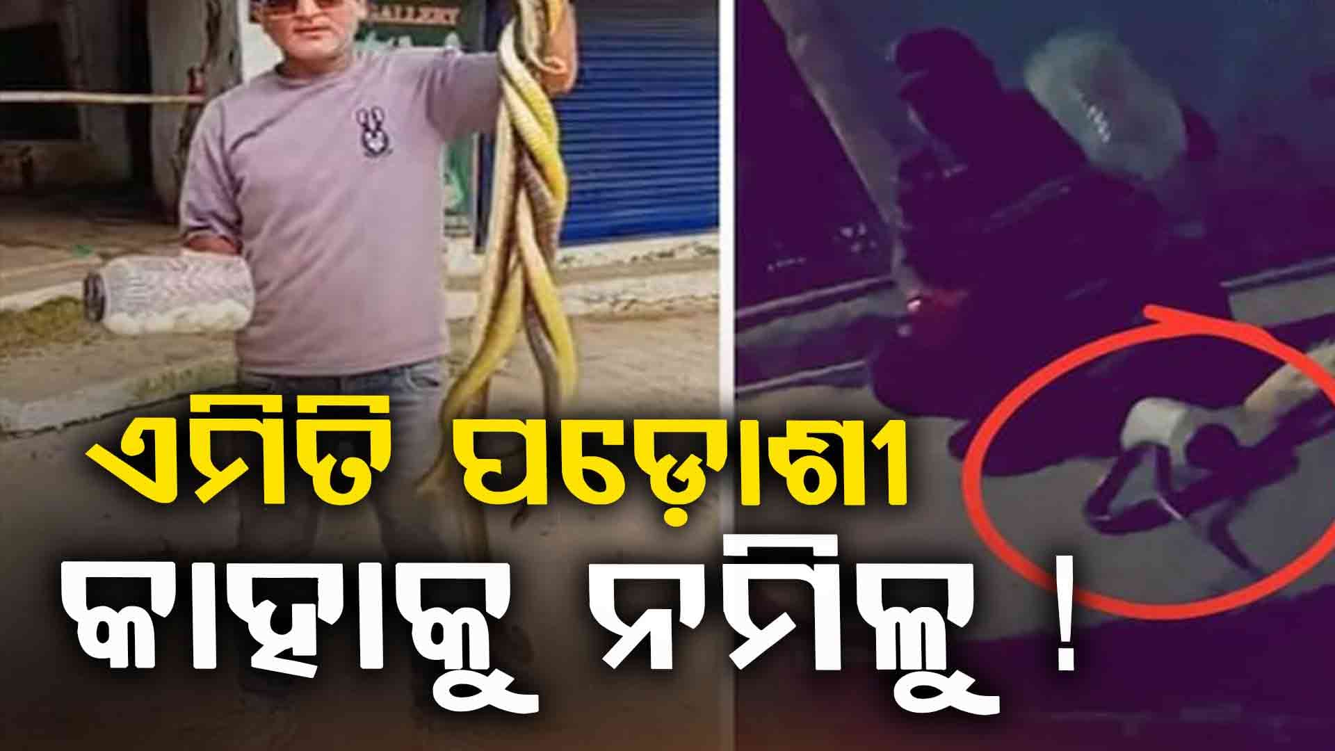Viral Video: ପଡ଼ିଶା ଘର ସାଙ୍ଗେ କଳି ଲାଗିଲେ ବୋଲି, ମେଞ୍ଚେ ସାପ ଛାଡ଼ିଦେଲେ