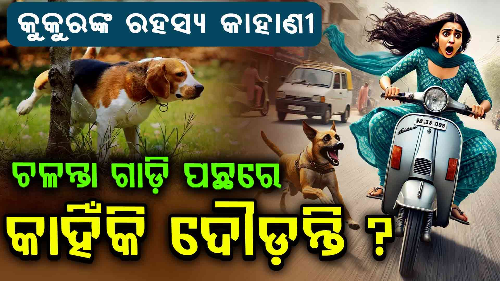 ଗାଡ଼ି ପଛରେ କୁକୁର ଦୌଡ଼ିଲେ କଣ ହୁଏ ?