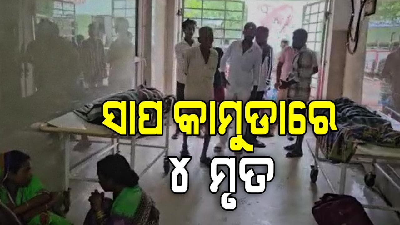 ରାତିରେ ଶୋଇଥିବା ବେଳେ ସାପ କାମୁଡାରେ ଗଲା ୪ ଜୀବନ 
