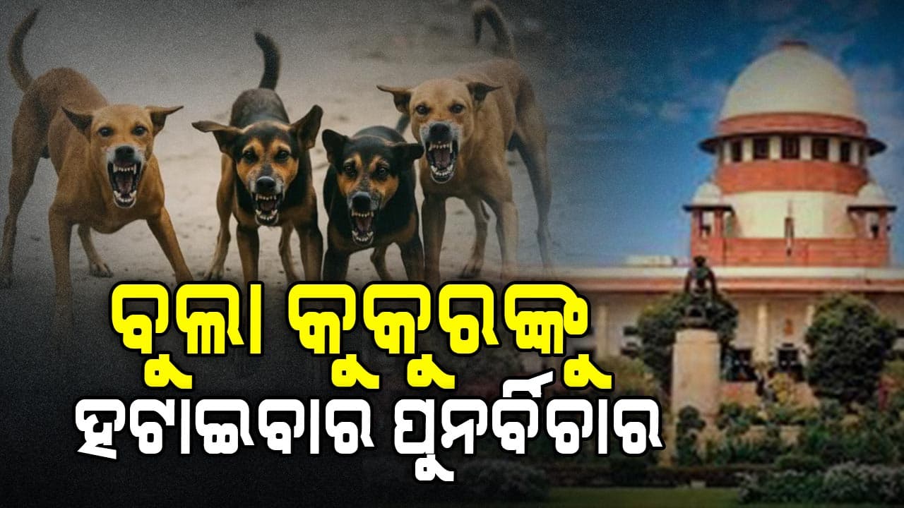 ଦିଲ୍ଲୀ-ଏନ୍‌ସିଆରରୁ ବୁଲା କୁକୁରଙ୍କୁ ହଟାଇବା ନେଇ ହେବ ସୁପ୍ରିମକୋର୍ଟରେ ଶୁଣାଣି