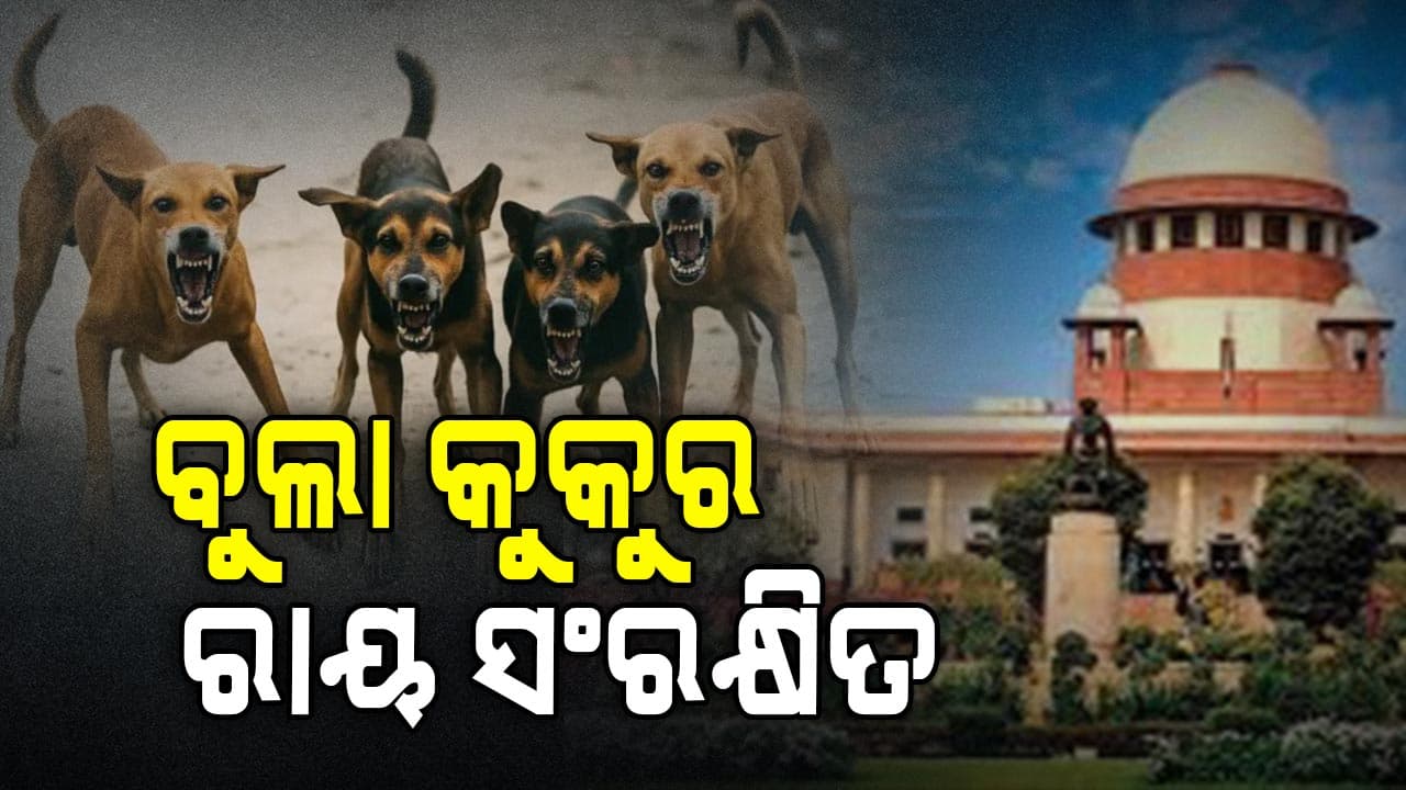 ସୁପ୍ରିମକୋର୍ଟରେ ବୁଲା କୁକୁର ରାୟ ସଂରକ୍ଷିତ; ସରକାରଙ୍କ ଯୁକ୍ତି 'ଚିକେନ୍ ଖାଇ ହେଉଛନ୍ତି ପଶୁପ୍ରେମୀ' 
