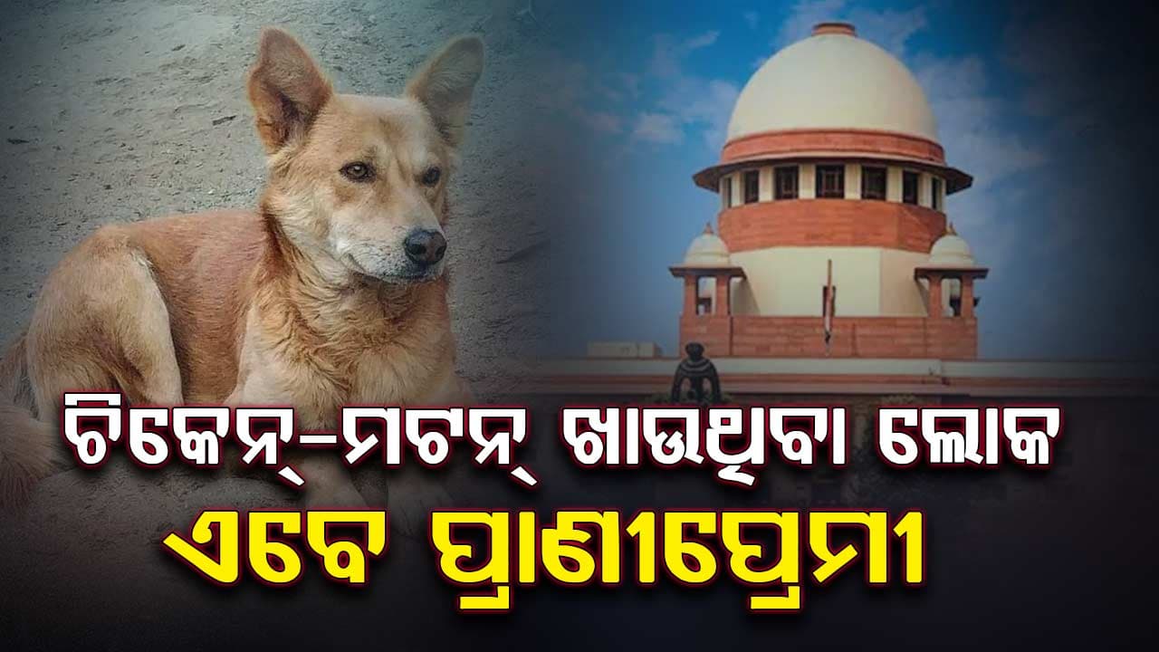 ଚିକେନ୍-ମଟନ୍ ଖାଉଥିବା ଲୋକ ଏବେ ପ୍ରାଣୀପ୍ରେମୀ ହୋଇଗଲେ; ଶୁଣାଣି ବେଳେ କହିଲେ ତୁଷାର ମେହେଟ୍ଟା