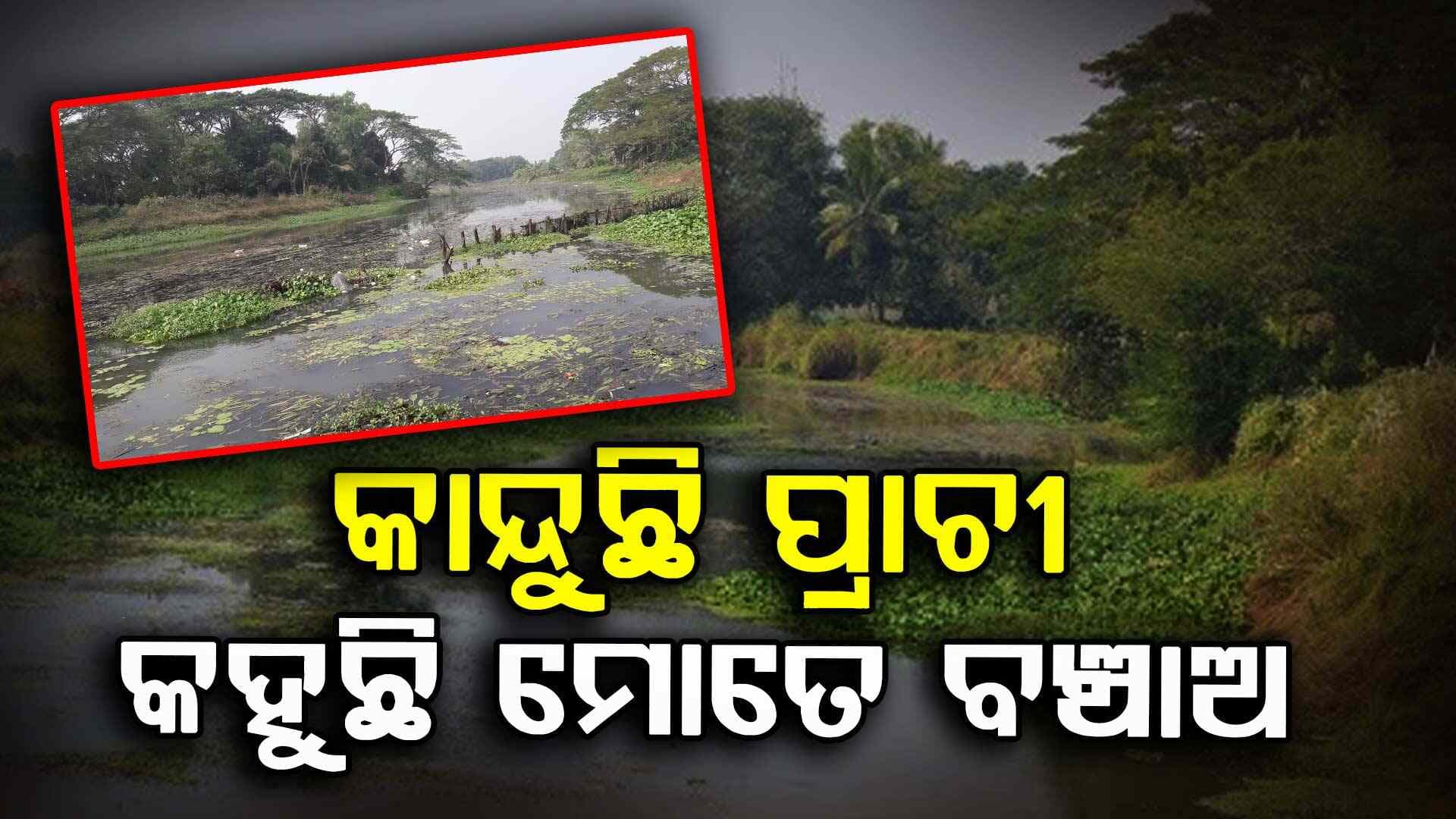 Prachi River: ଦିନେ ନୌବାଣିଜ୍ୟର ମୁକସାକ୍ଷୀ, ଏବେ ଖୋଜୁଛି ଅସ୍ଥିତ୍ୱ