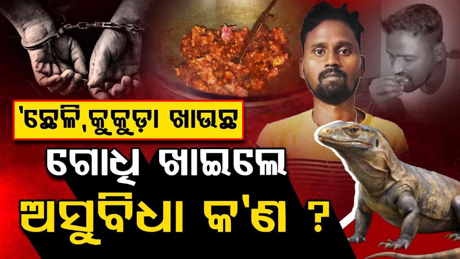 ଗୋଧି ମାଂସ ରାନ୍ଧି ବନ୍ଧା ହେଲେ ୟୁଟ୍ୟୁବର