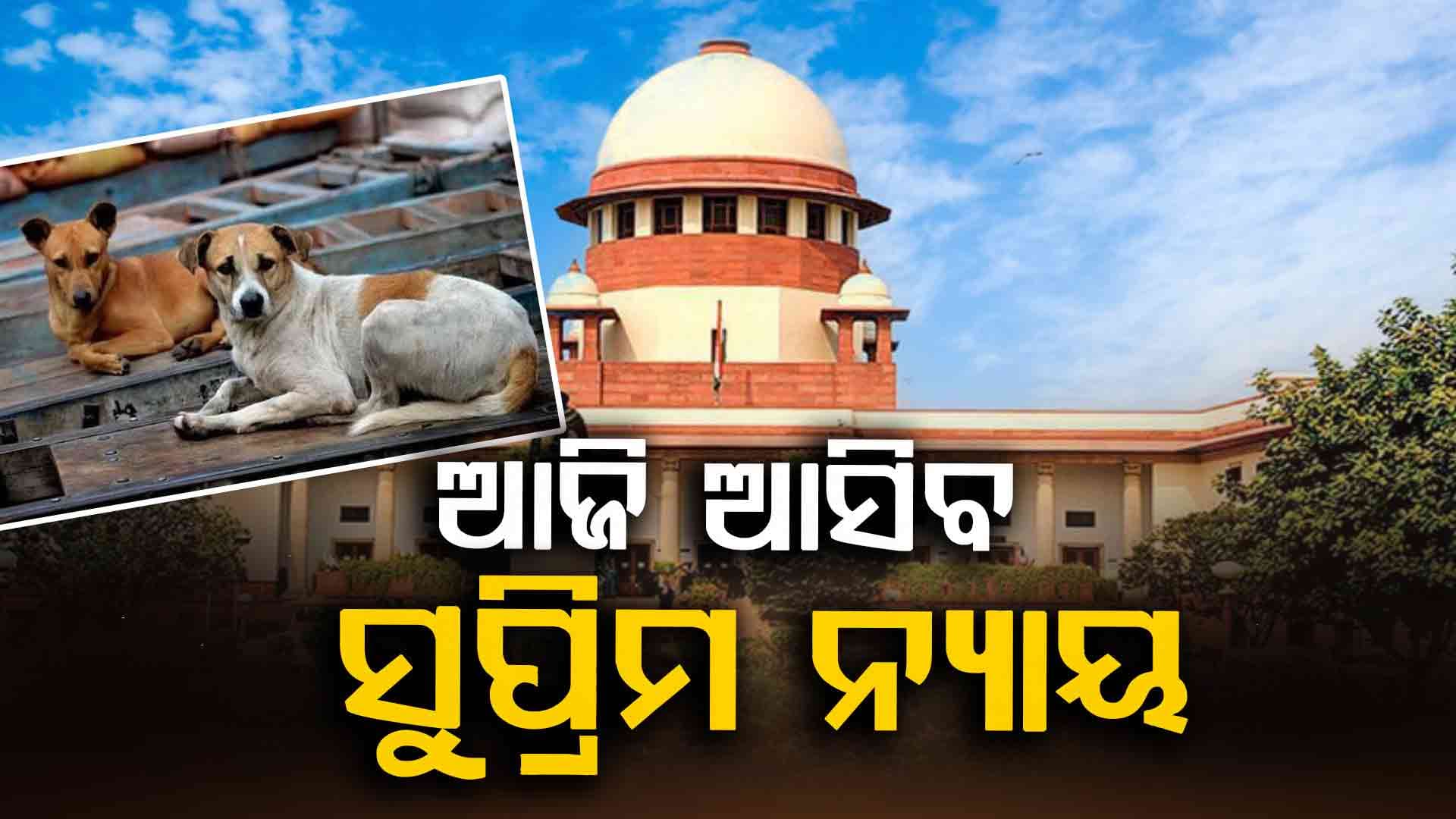 ବୁଲା କୁକୁର ନିୟମରେ ନିଷ୍କ୍ରିୟତା ମାମଲାରେ ଆଜି ଆସିବ ସୁପ୍ରିମକୋର୍ଟଙ୍କ ରାୟ