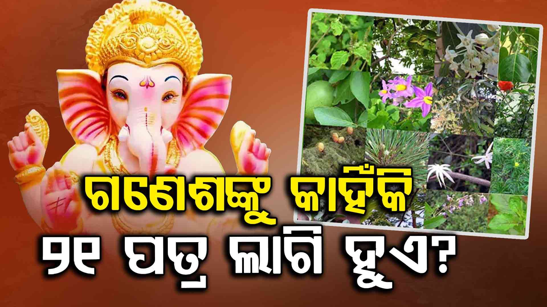 ଗଣେଶ ଚତୁର୍ଥୀ 2025: ପତ୍ର ପୂଜା କଣ...ଗଣେଶ ପୂଜାରେ କାହିଁକି ୨୧ ପତ୍ର ଅର୍ପିତ କରାଯାଏ? ଗୁରୁତ୍ୱ ଜାଣନ୍ତୁ