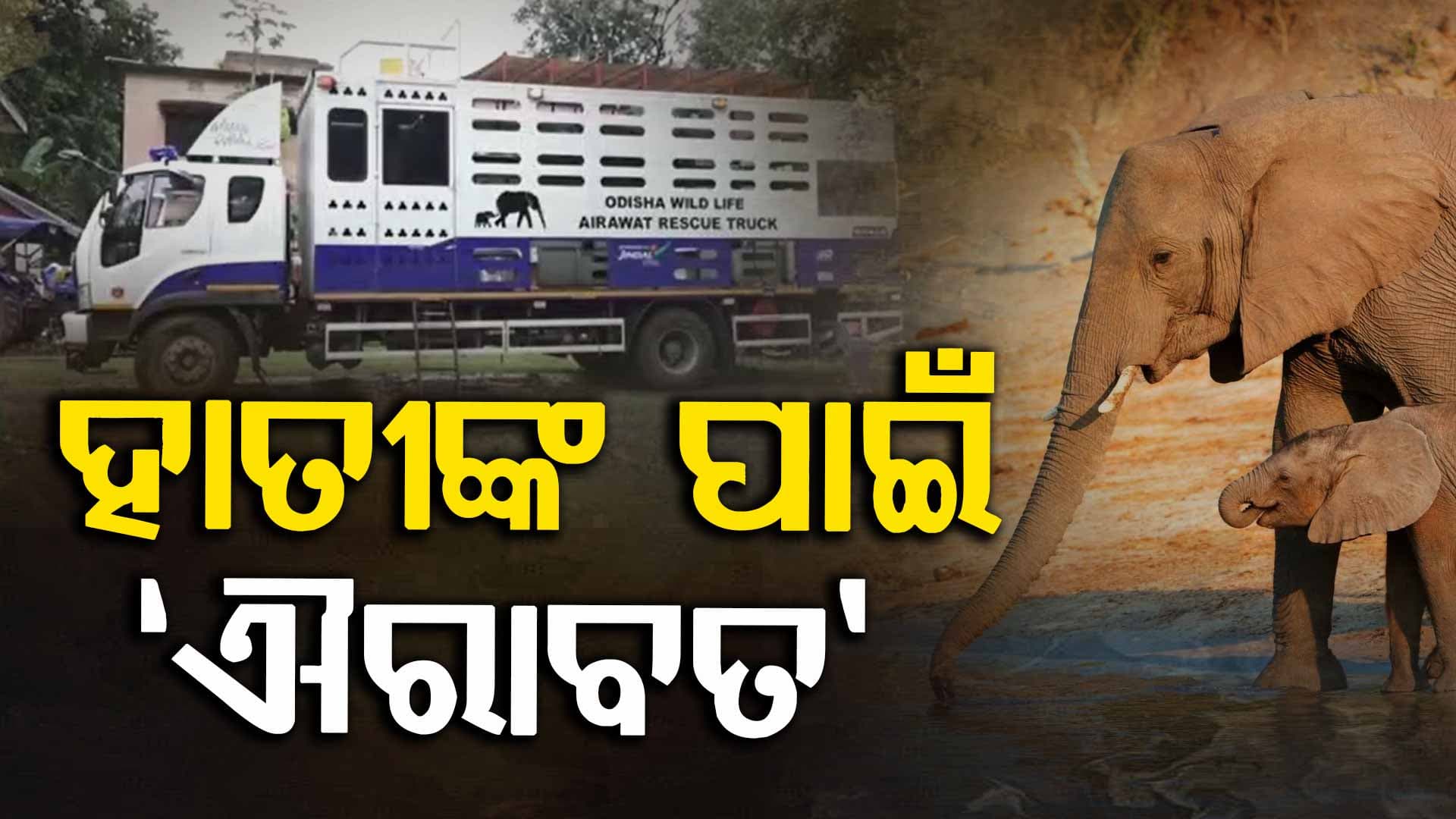 ଅନୁଗୋଳ ବନଖଣ୍ଡକୁ ଆସିଲା ସ୍ବତନ୍ତ୍ର ଟ୍ରକ୍‌ ‘ଐରାବତ’
