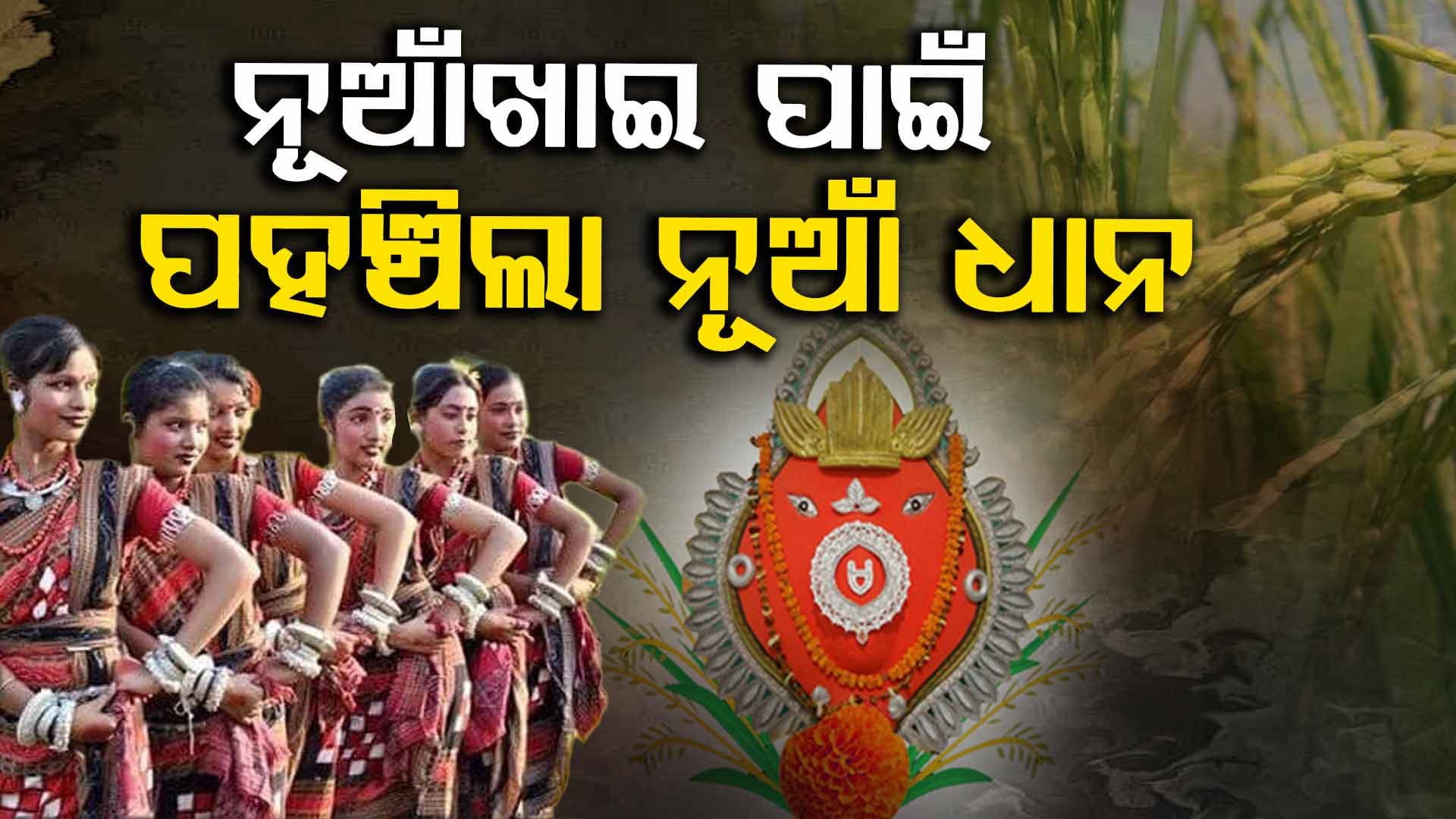 ମା' ସମଲେଶ୍ଵରୀ ମନ୍ଦିରରେ ପହଞ୍ଚିଲା ସରିଆ ଧାନ