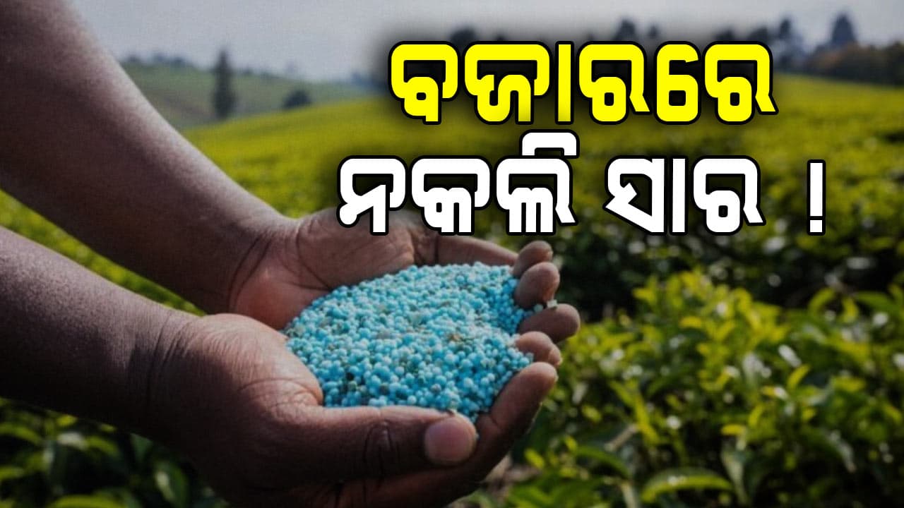 Fake Fertilizer: ସାମ୍ନାକୁ ଆସିଲା ଭେଜାଲ ସାର ଯୋଗାଣର ବଡ଼ ପ୍ରମାଣ