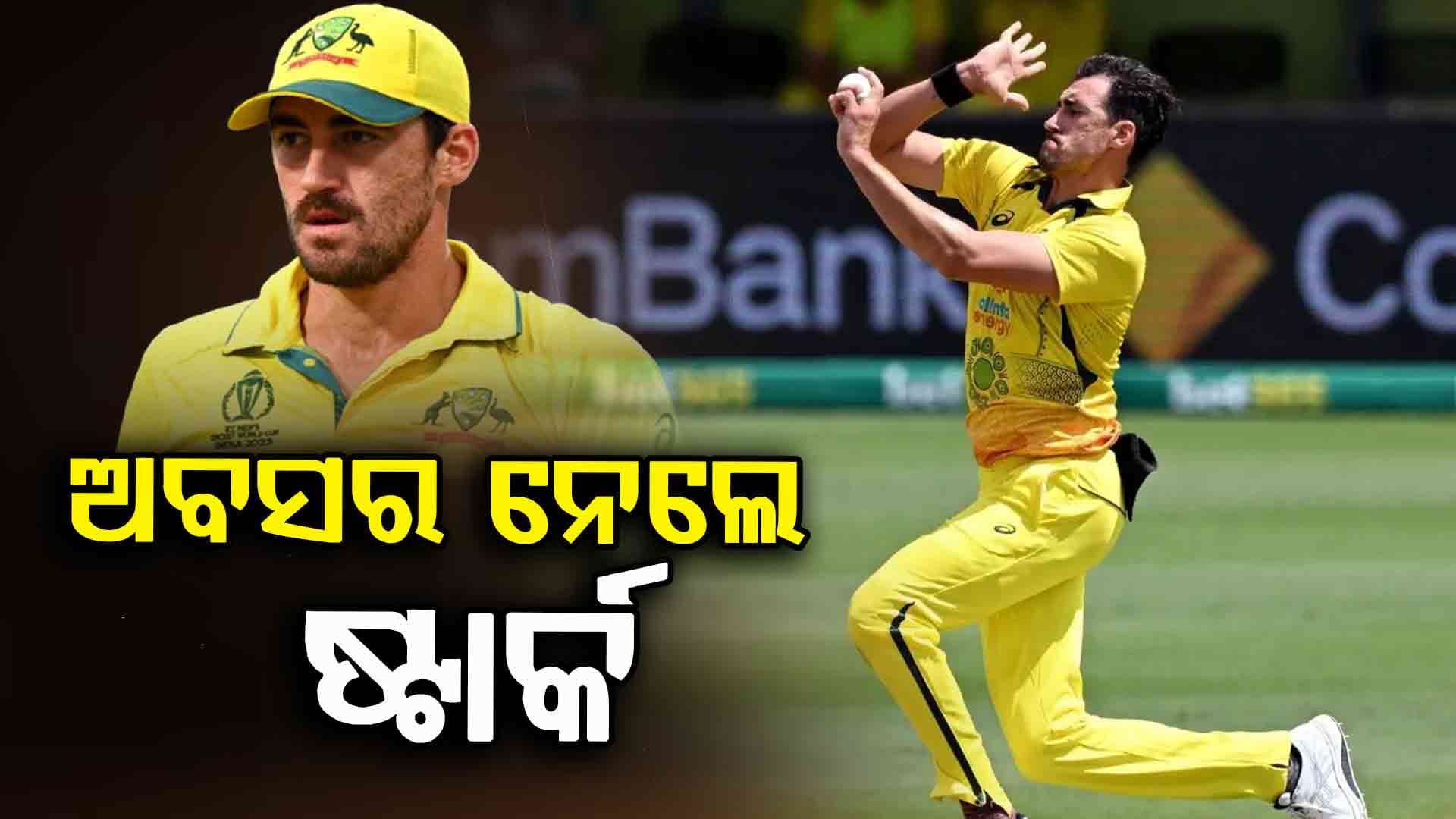 Mitchell Starc: ଟି-୨୦ କ୍ରିକେଟକୁ ଅଲବିଦା କହିଲେ ମିଚେଲ ଷ୍ଟାର୍କ, କାହିଁକି ନେଲେ ଅବସର...କହିଲେ କାରଣ...